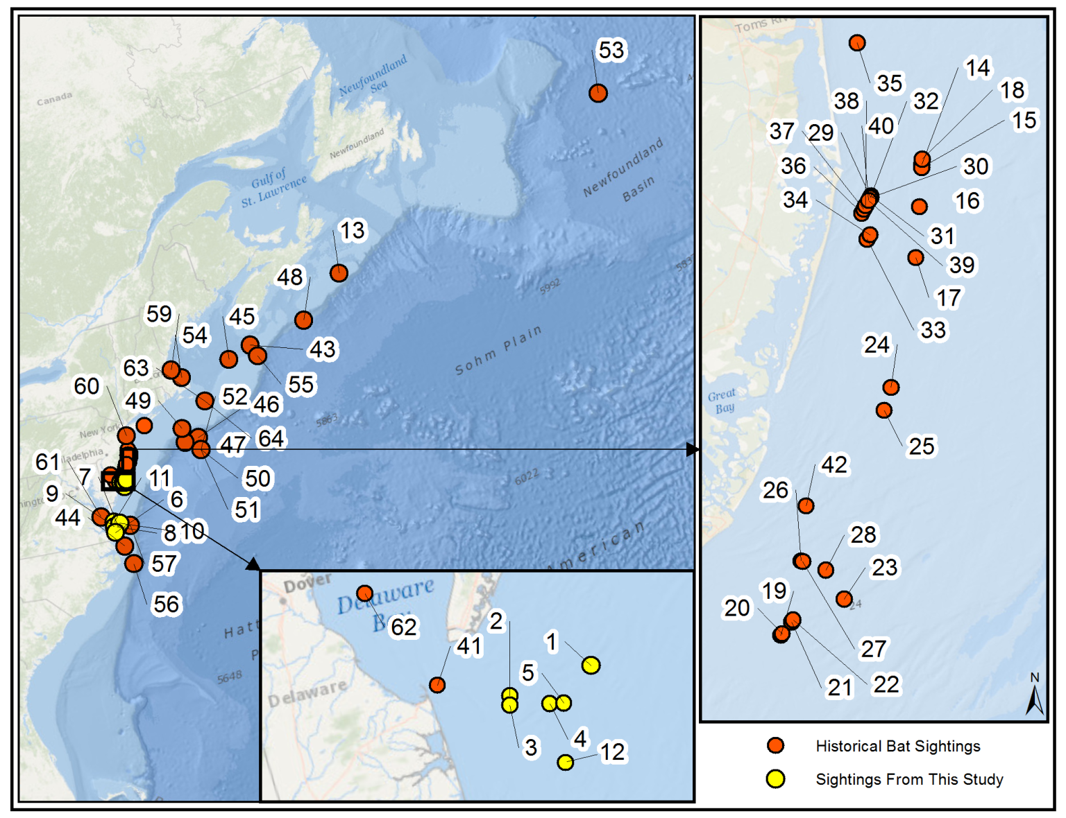 Offshore Observations of Eastern Red Bats (Lasiurus borealis) in the ...
